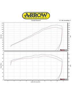 Silencer Arrow Kawasaki Z 900/ A2 [17-20]/Z 900 E [17-18] [Race-Tech, Dark Aluminum + carbon]